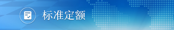 标准定额